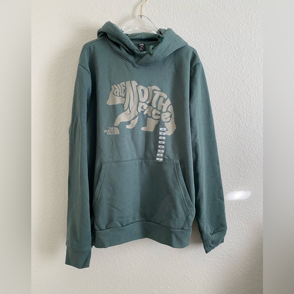 The North Face Men’s Evolution Bear Graphic Hoodie